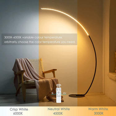 RGBW Modern Curved Floor Lamp